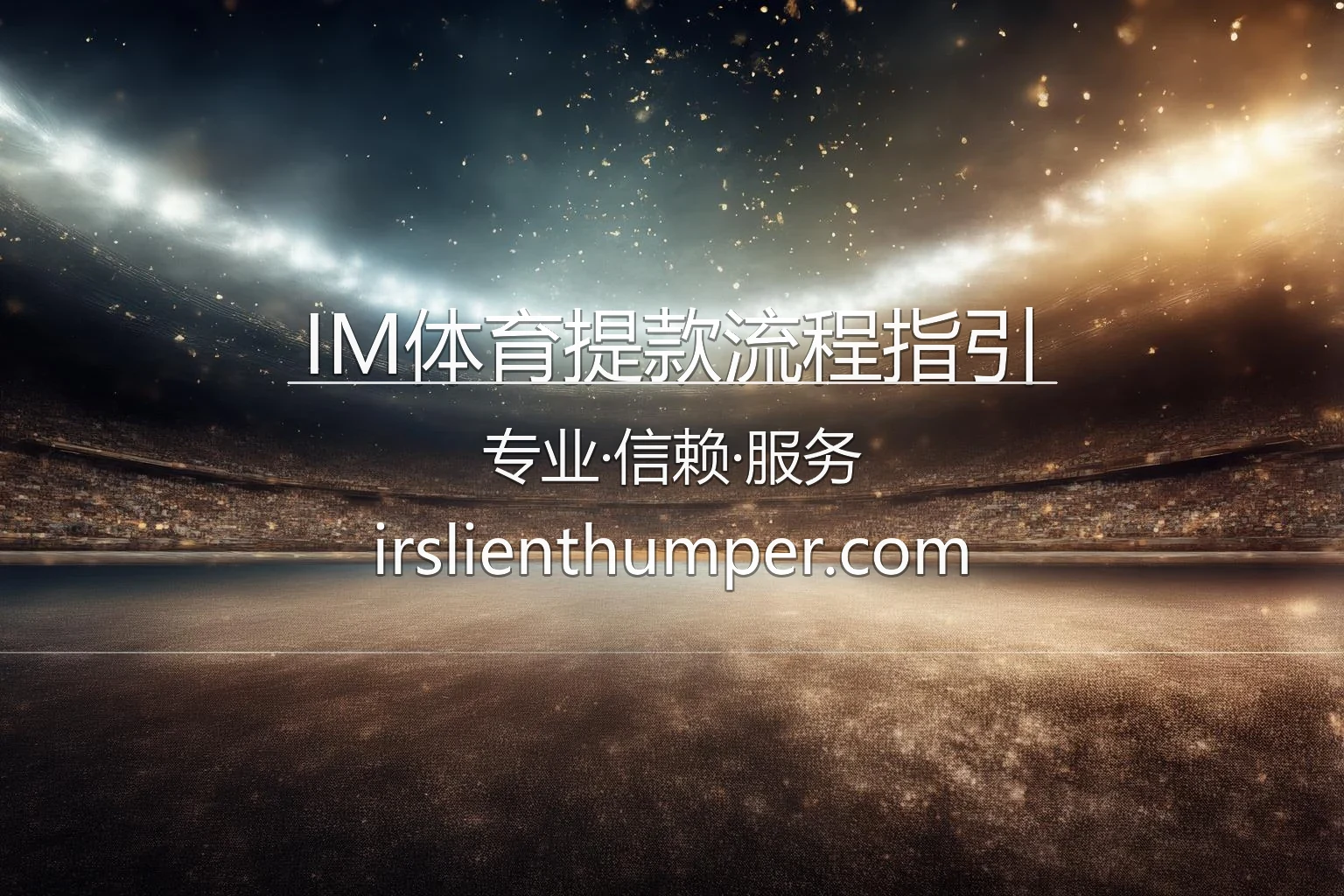 IM体育提款流程指引官方图